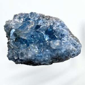 Drusa celestina